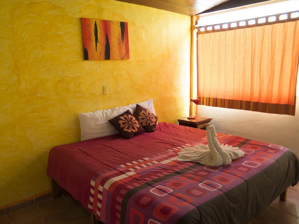 Hotel El Hormiguero Playa del Carmen Oda fotoğraf