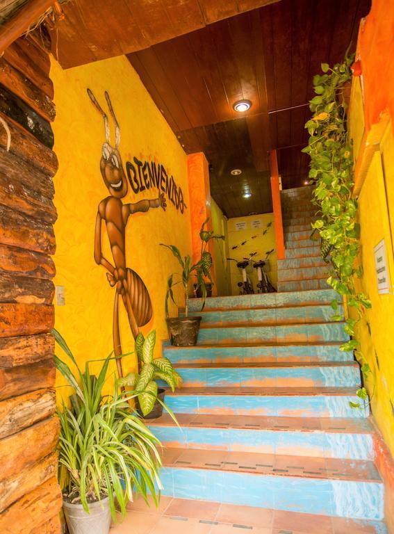 Hotel El Hormiguero Playa del Carmen Dış mekan fotoğraf