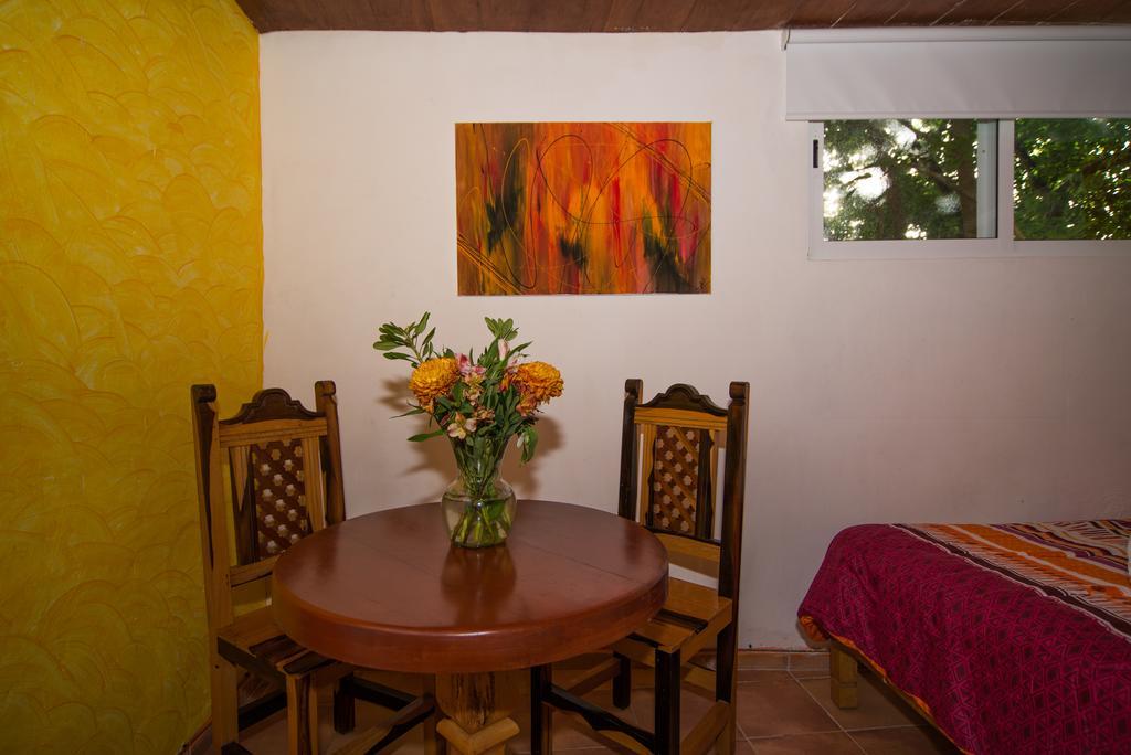 Hotel El Hormiguero Playa del Carmen Dış mekan fotoğraf