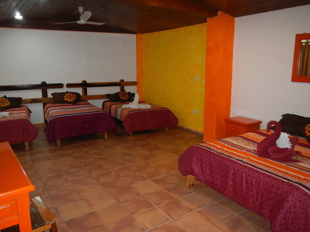 Hotel El Hormiguero Playa del Carmen Dış mekan fotoğraf